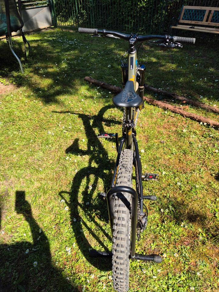 Rocky Mountain Reaper 24