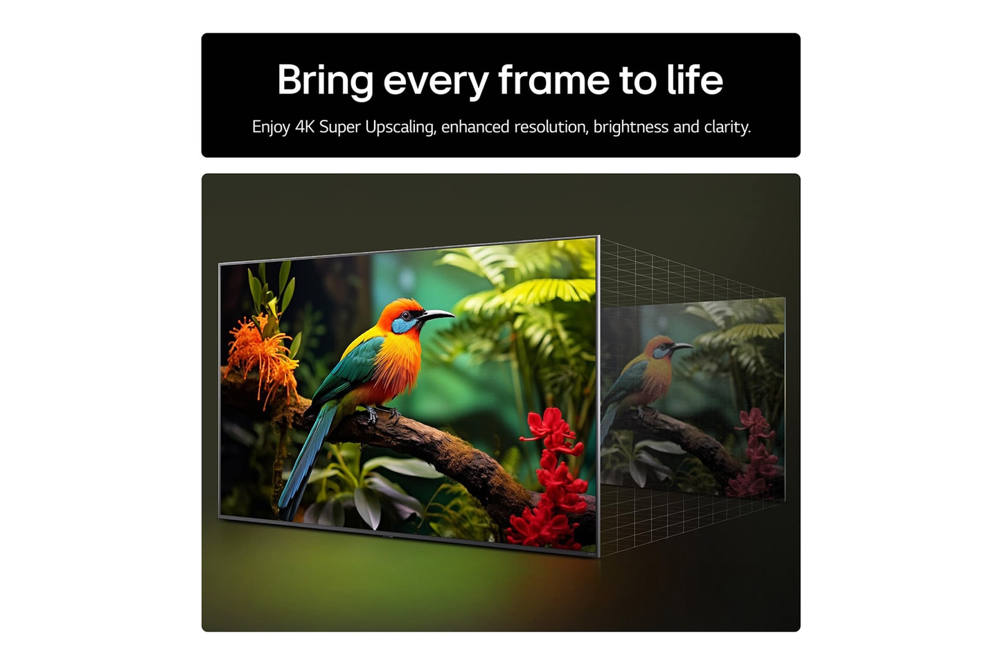 LG 55UA74006LB 55 Inch AI ThinQ UA74 4K UHD HDR Smart TV