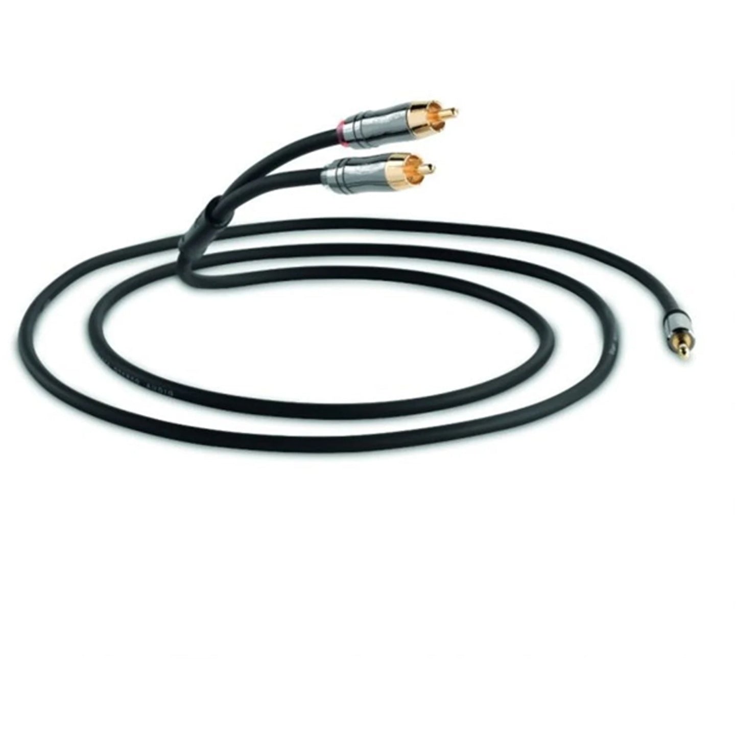 QED QE6501 Performation J2P Jack to Phono 3M Cable in Graphite